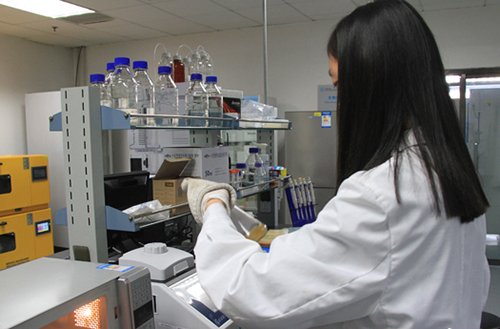 虽在载体建设上