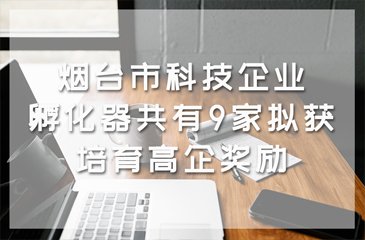 微信客服