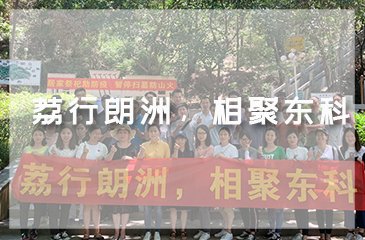 电话咨询