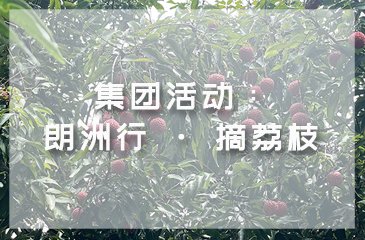 微信客服
