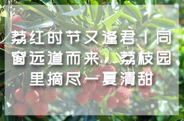 公开信息按发布时间滚动