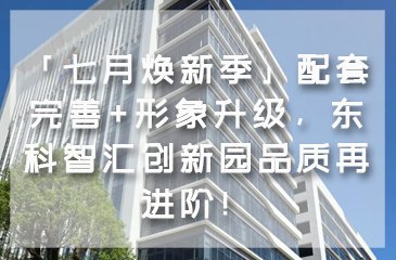 电话咨询